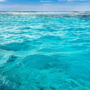 Meet your Posher, Aliyah